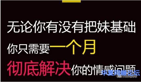 案例分析如何操作PUA或说教人把妹项目 暴利月入万元
