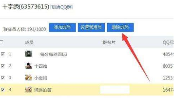 QQ群排名优化规则（学会后10分钟全国排名第一）