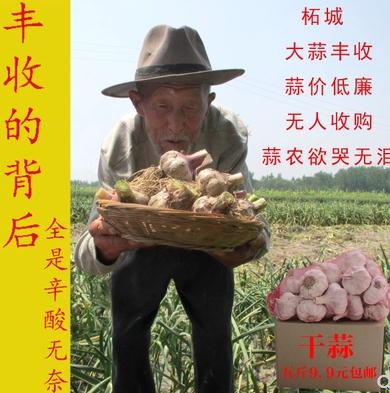  ڰ淨