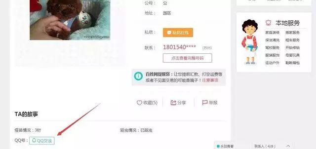 不仅可以引流还能直接做项目 分类信息网小广告聚合平台